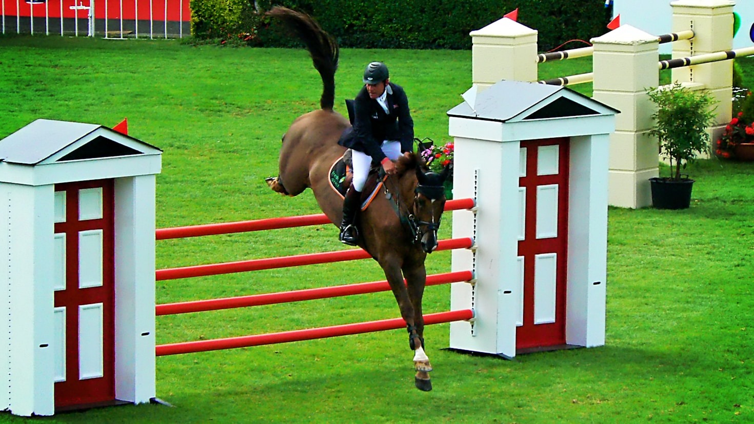 The History and Legacy of the Mullingar Horse Show